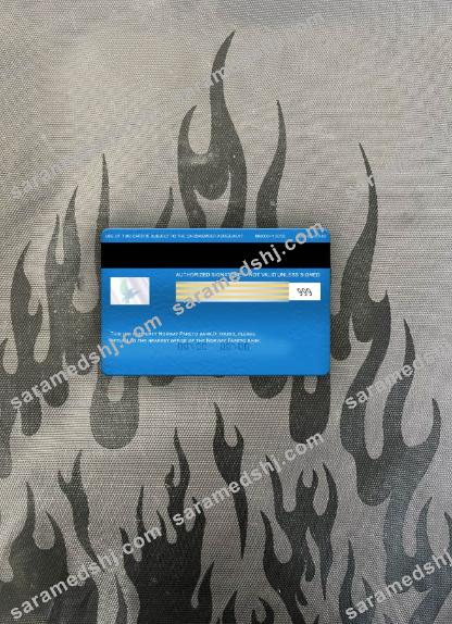 Norway Pareto bank visa electron card photolook back